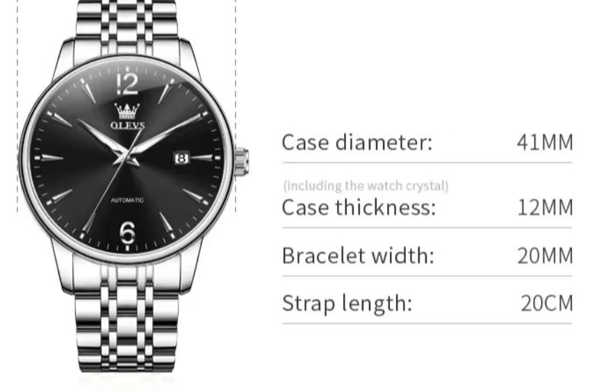 Schlichte Edelstahl Automatik Armbanduhr "Affari di lusso no.5193" - PITANI