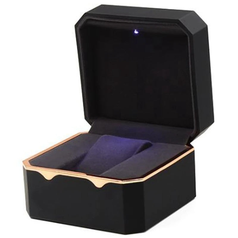 Uhren Aufbewahrungsbox "Bordo dorato no. 503 " - PITANI