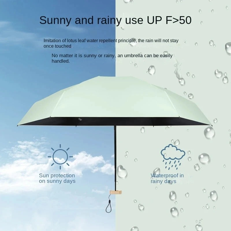 Premium Mini Regenschirm "Capsula parasole no.318" - PITANI