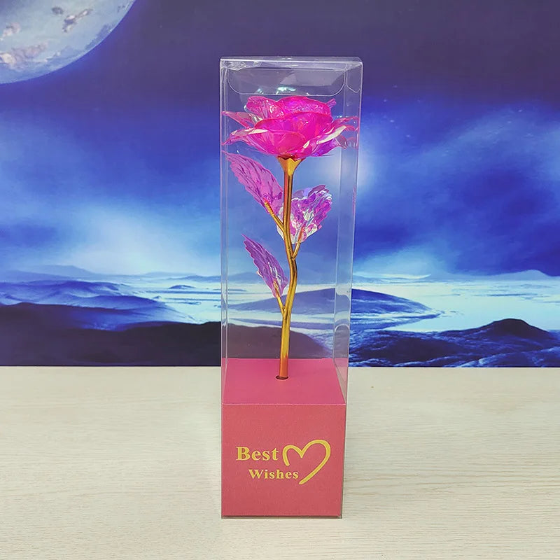 Endless Love Rose "Oro Rosa no.650" - PITANI