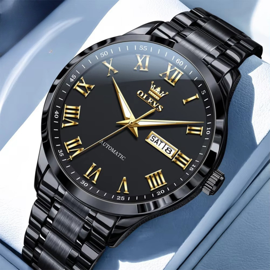 SALE | Edelstahl Automatik Armbanduhr mit römischen Zahlen "Visualizzazione del giorno e della data no.5190" - PITANI