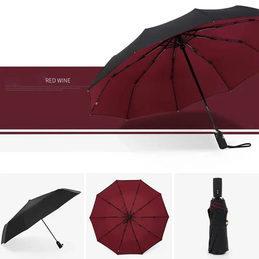 Premium Regenschirm "Dieci costole no.303" - PITANI